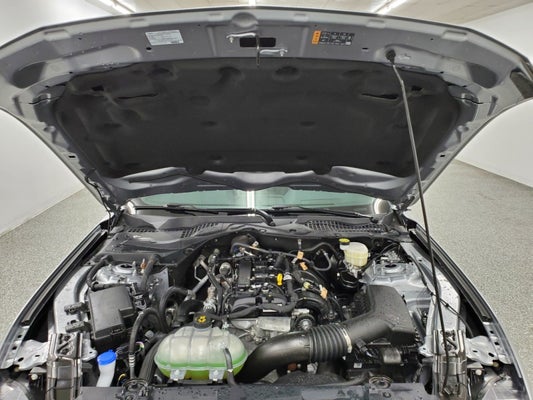2022 Ford Mustang EcoBoost Premium in Willard, OH - Sharpnack Auto Group