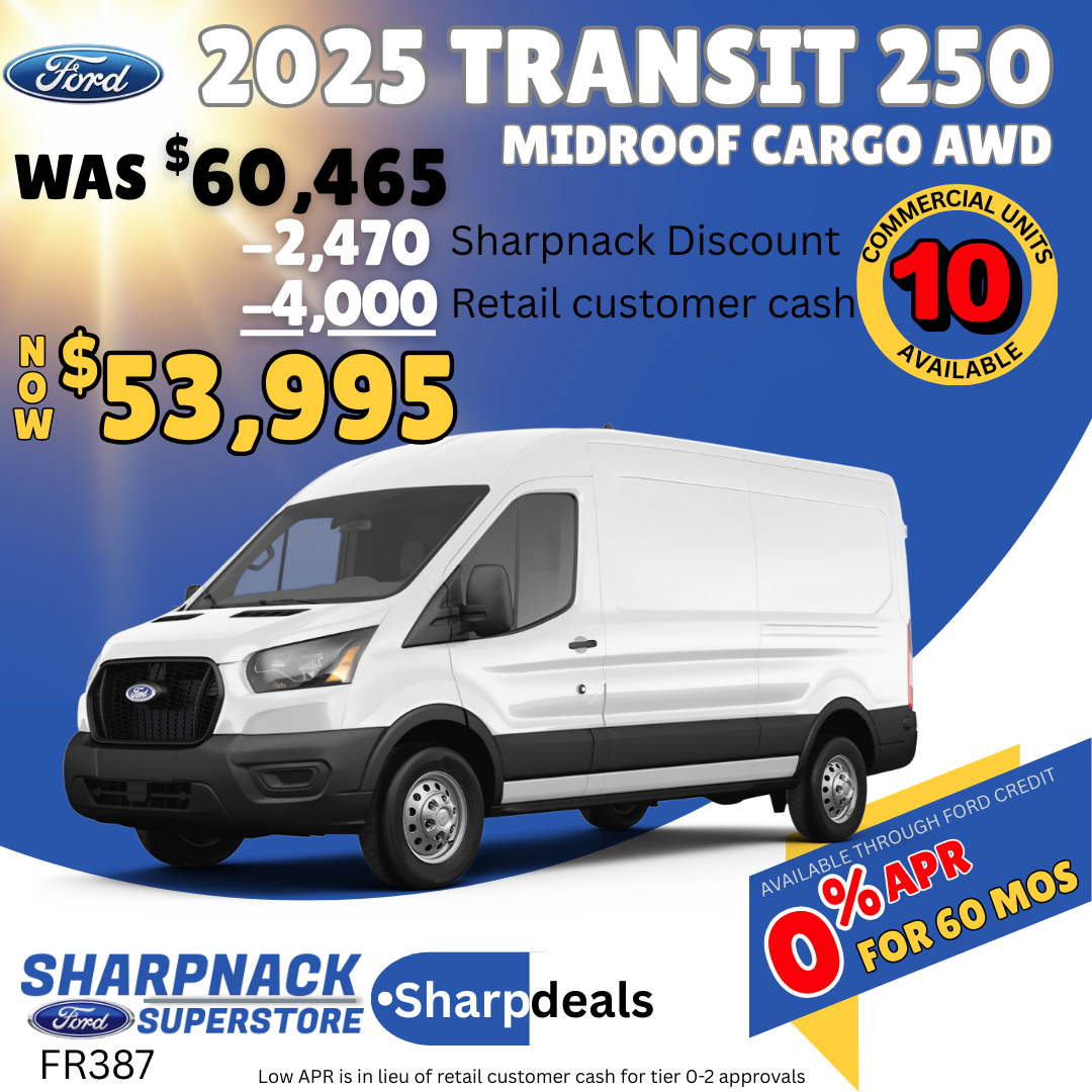 Transit 250 Cargo